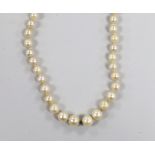 A single strand graduated cultured pearl necklace, with two stone diamond set yellow metal clasp,