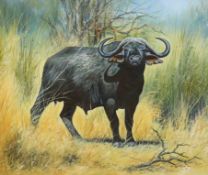 Winter (South African), oil on canvas, Study of a buffalo, signed and dated '87, 70 x 60cm