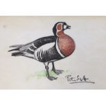 Sir Peter Markham Scott (1909-1989) pastel, Study of a Red Breasted Goose, signed, provenance