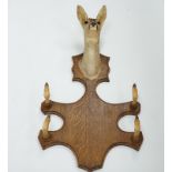 A taxidermic deer head with four hooves in the form of a coat hook, 80cm high