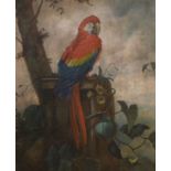 F.W. Baldry, 20th century oil on canvas, Study of a macaw, signed and dated 1925, 62 x 49cm