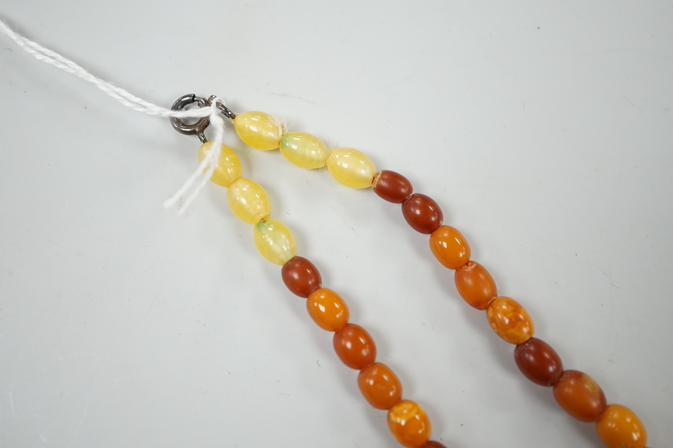 A single strand part amber bead necklace, 48cm, gross weight 26 grams. - Image 3 of 3