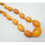 A single strand graduated oval amber bead necklace, 86cm, gross 33 grams.