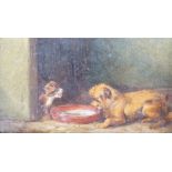 Attributed to Edward Armfield (1817-1896), oil on wooden panel, Terrier and cat, 10 x 18cm