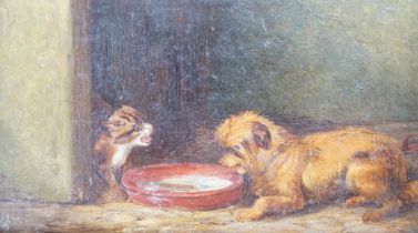 Attributed to Edward Armfield (1817-1896), oil on wooden panel, Terrier and cat, 10 x 18cm