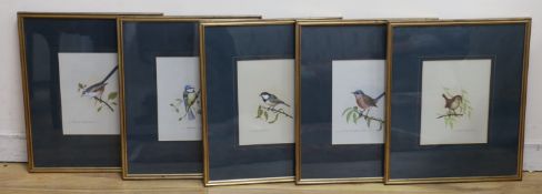 David Andrews (fl.1965-) set of five watercolours including 'Wren' and 'Dartford Warbler', each with