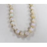 A single strand graduated translucent opal bead necklace, 38cm.