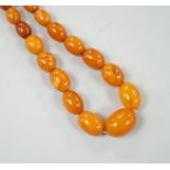 A single strand part amber bead necklace, 48cm, gross weight 26 grams.