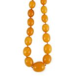 A single strand graduated oval amber bead necklace, 110cm, gross weight 163 grams, largest bead
