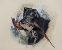 Sir Edwin Henry Landseer R.A. (1802-1873) 'A retriever, with pheasant in his mouth - unfinished'