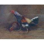 Harry T. Hine (British, 1845-1941) Fighting cockswatercoloursigned and dated 190725 x 32cm***