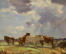 20th century modern British, oil on board, Highland cattle, 59 x 49cm***CONDITION REPORT***PLEASE