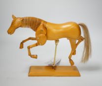An artist's articulated wooden horse mannequin made from Alniphyllum Fortuneia (Fortune's Alder),