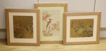 18th / 19th century Chinese School, three watercolours on silk, Birds of Paradise and flowers,