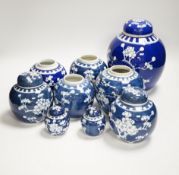 Nine mixed Chinese blue and white prunus jars, five with covers, largest 22cm high***CONDITION