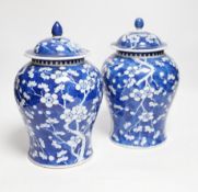 A near pair of 19th century Chinese blue and white prunus jars and covers, 26cm high