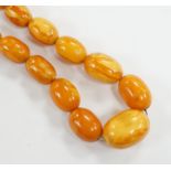 A single strand graduated oval amber bead necklace, 56cm, gross weight 47 grams.