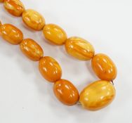 A single strand graduated oval amber bead necklace, 56cm, gross weight 47 grams.