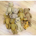 Eight bears, including a 1930's German with inserted ears, all for restoration (8)