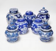 Seven Chinese blue and white Prunus decorated jars and covers, 19th/20th century, tallest 17cm high