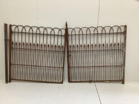 A pair of wrought iron gates, total length 234cm, height 129cm