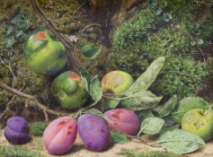 John Sherrin (1819-1896), watercolour, Still life of fruit and leaves, signed, 38 x 29cm