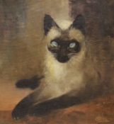 Charles Rebel Stanton (1854-1954), oil on hardboard, study of a Siamese cat, signed, 27 x 25.5cm