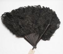 A large ostrich feather and faux tortoiseshell fan