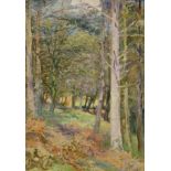 Edward Steel Harper (1878-1951) ‘A Woodland, New Radnor’, oil on canvas laid on board, signed and