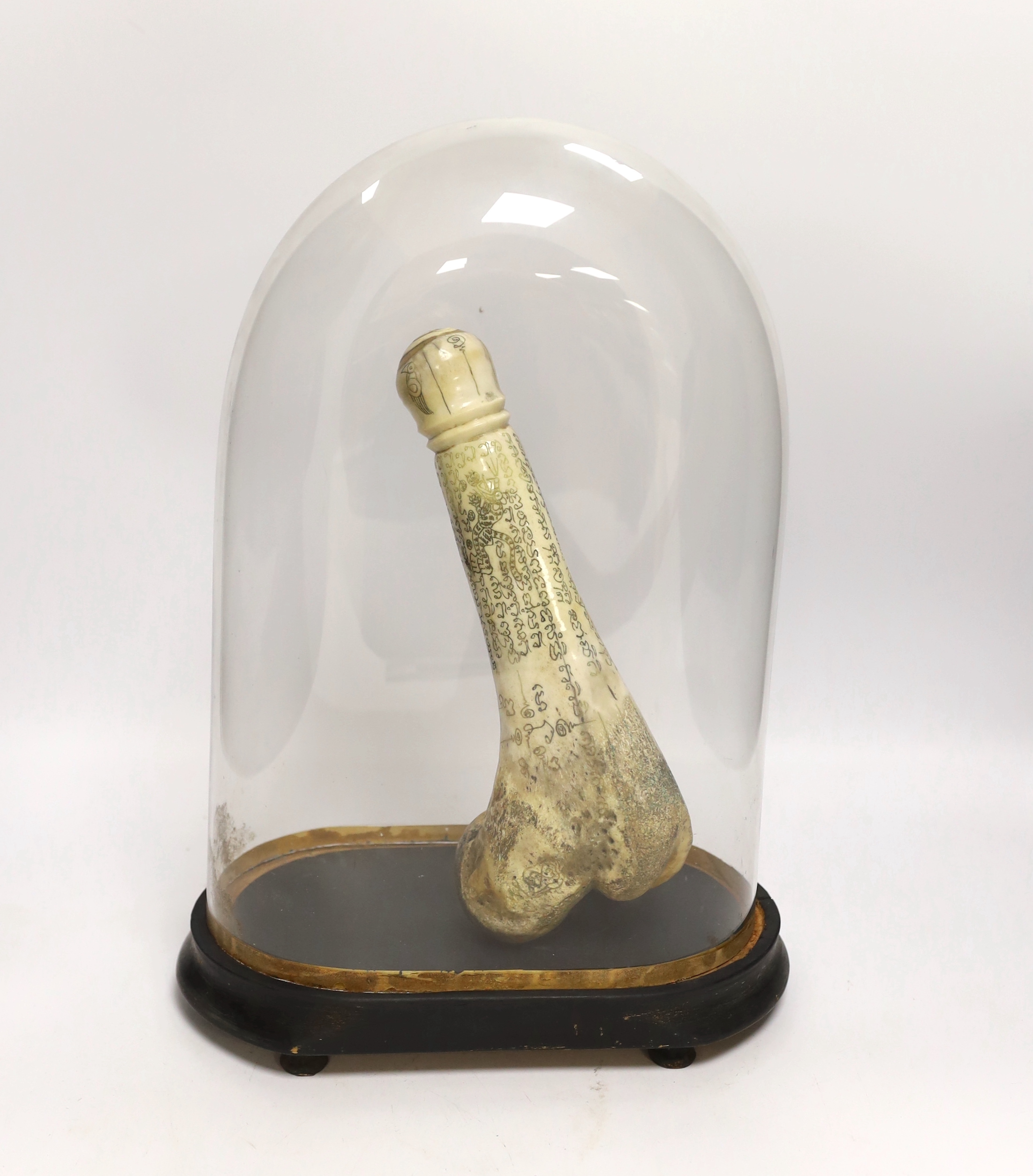 A North African? Carved bone phallic model under glass dome, total height of dome 38cm - Image 2 of 2