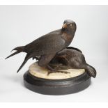 A limited edition bronze bird of prey with a kill, on a faux marble disc and painted wooden stand,