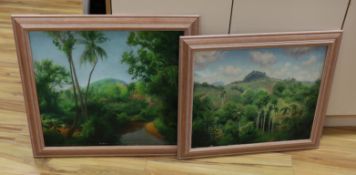 Brooke Haylar (contemporary), two oils on canvas, Mountainous jungle landscapes, one signed, largest