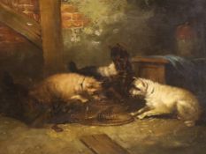 After George Armfield (1808–1893) oil on canvas, Terriers ratting, 31 x 41 cm