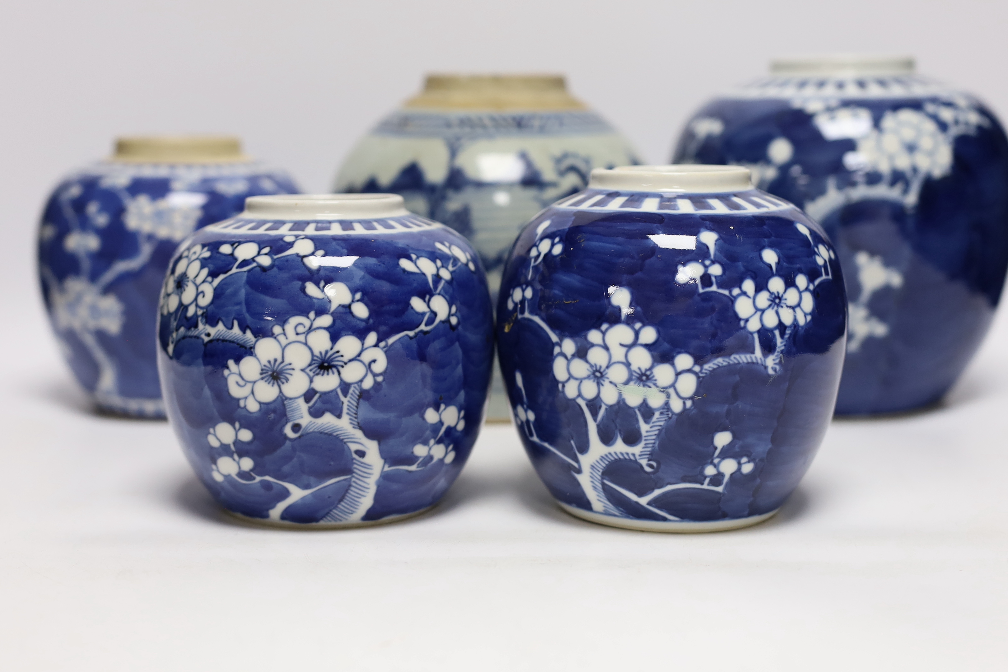 A collection of Chinese blue and white ginger jars including seven prunus flower examples, largest - Image 5 of 10