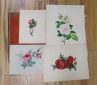 A collection of 19th century botanical watercolour studies on paper, one indistinctly signed and