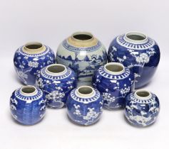 A collection of Chinese blue and white ginger jars including seven prunus flower examples, largest