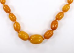 A single strand graduated amber bead necklace, with a 9ct clasp, 41cm, gross weight 43 grams.