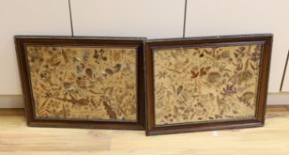 A pair of late 19th / early 20th century framed pressed wildflower displays with annotations, 50 x
