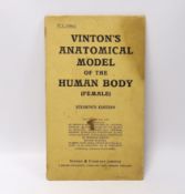 ° ° A Vinton's Anatomical Model of the Human Body (Female anatomy), printed in Bavaria by Vinson &