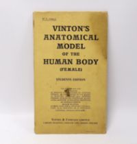 ° ° A Vinton's Anatomical Model of the Human Body (Female anatomy), printed in Bavaria by Vinson &