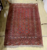 A Bokhara red ground rug, 158 x 124cm