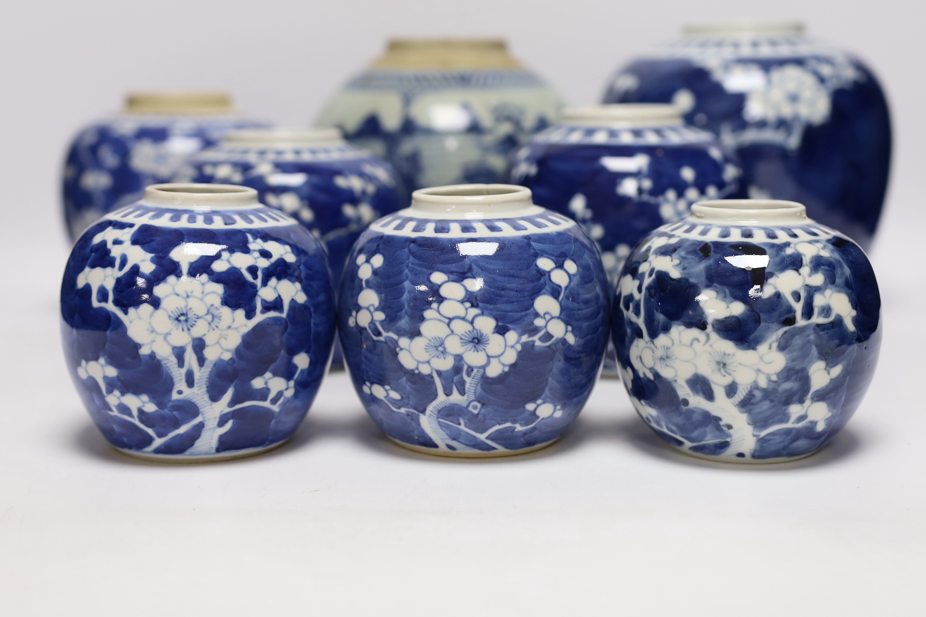 A collection of Chinese blue and white ginger jars including seven prunus flower examples, largest - Image 2 of 10