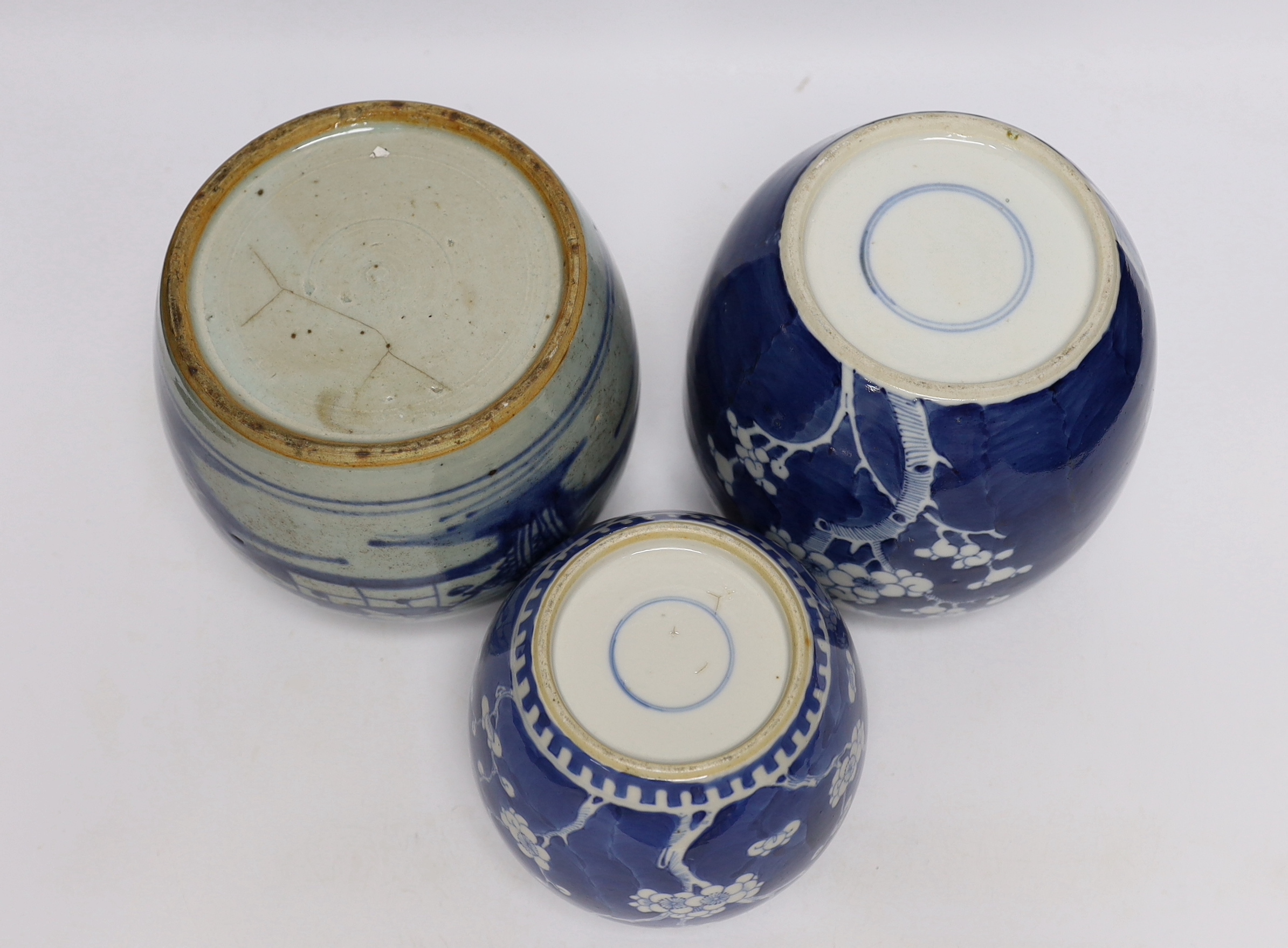 A collection of Chinese blue and white ginger jars including seven prunus flower examples, largest - Image 10 of 10