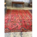 An Afghan woven wool red ground carpet, 306 x 268cm