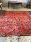 An Afghan woven wool red ground carpet, 306 x 268cm