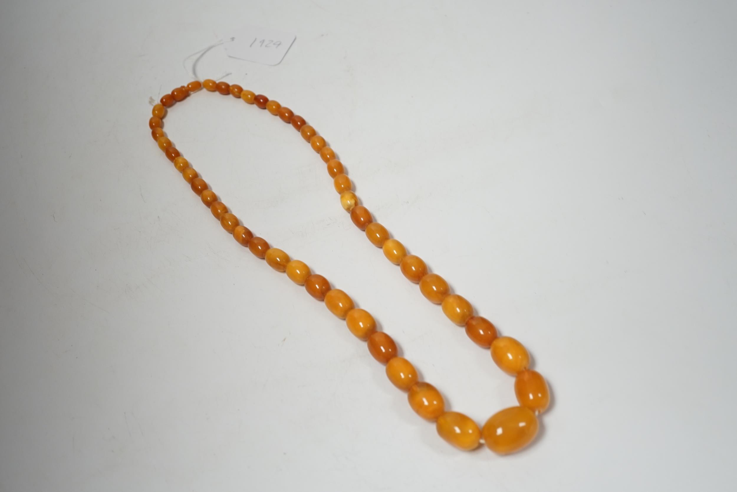 A single strand graduated oval amber bead necklace, 74cm, 83 grams. - Image 4 of 6