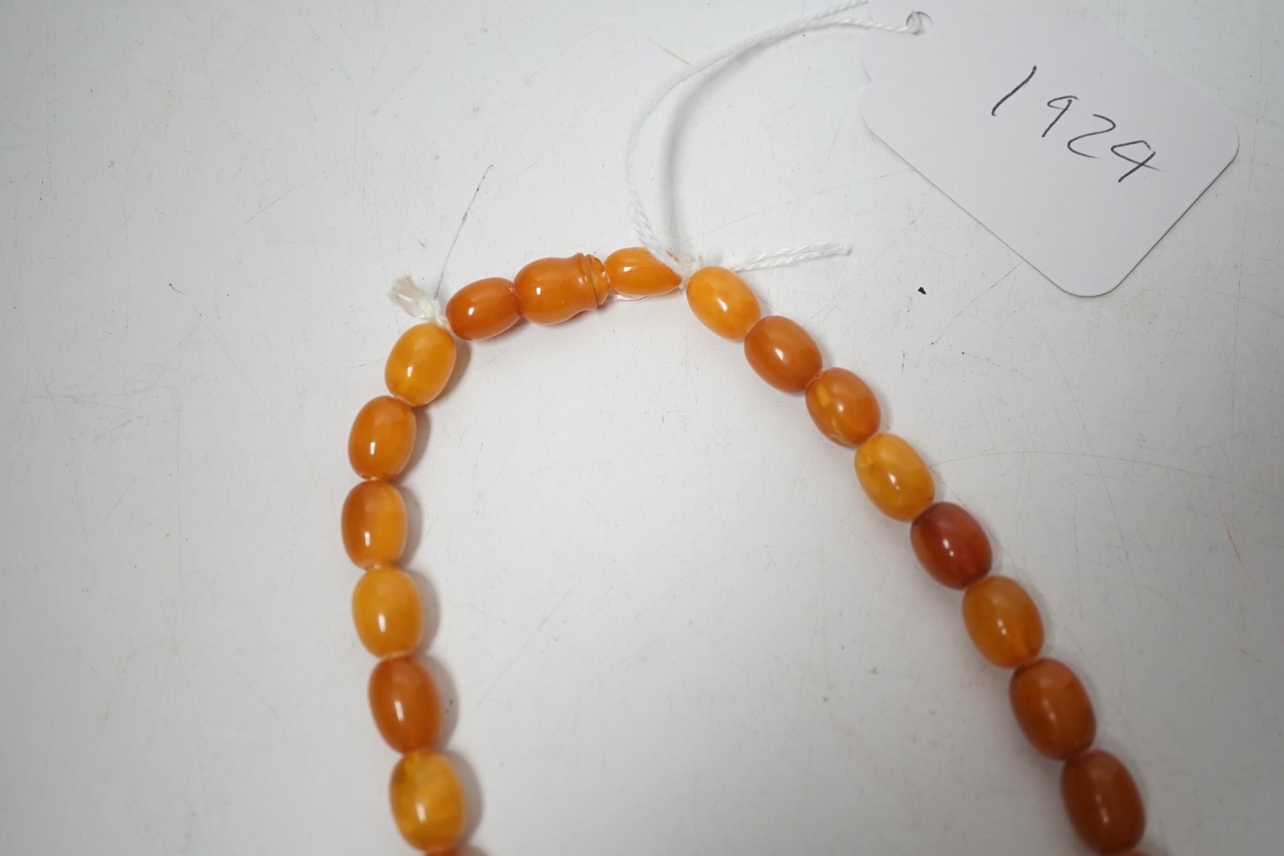 A single strand graduated oval amber bead necklace, 74cm, 83 grams. - Image 5 of 6