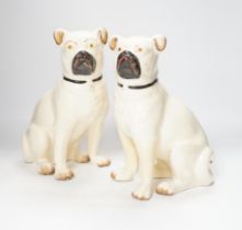 A pair of Staffordshire pug dogs, 28cm high