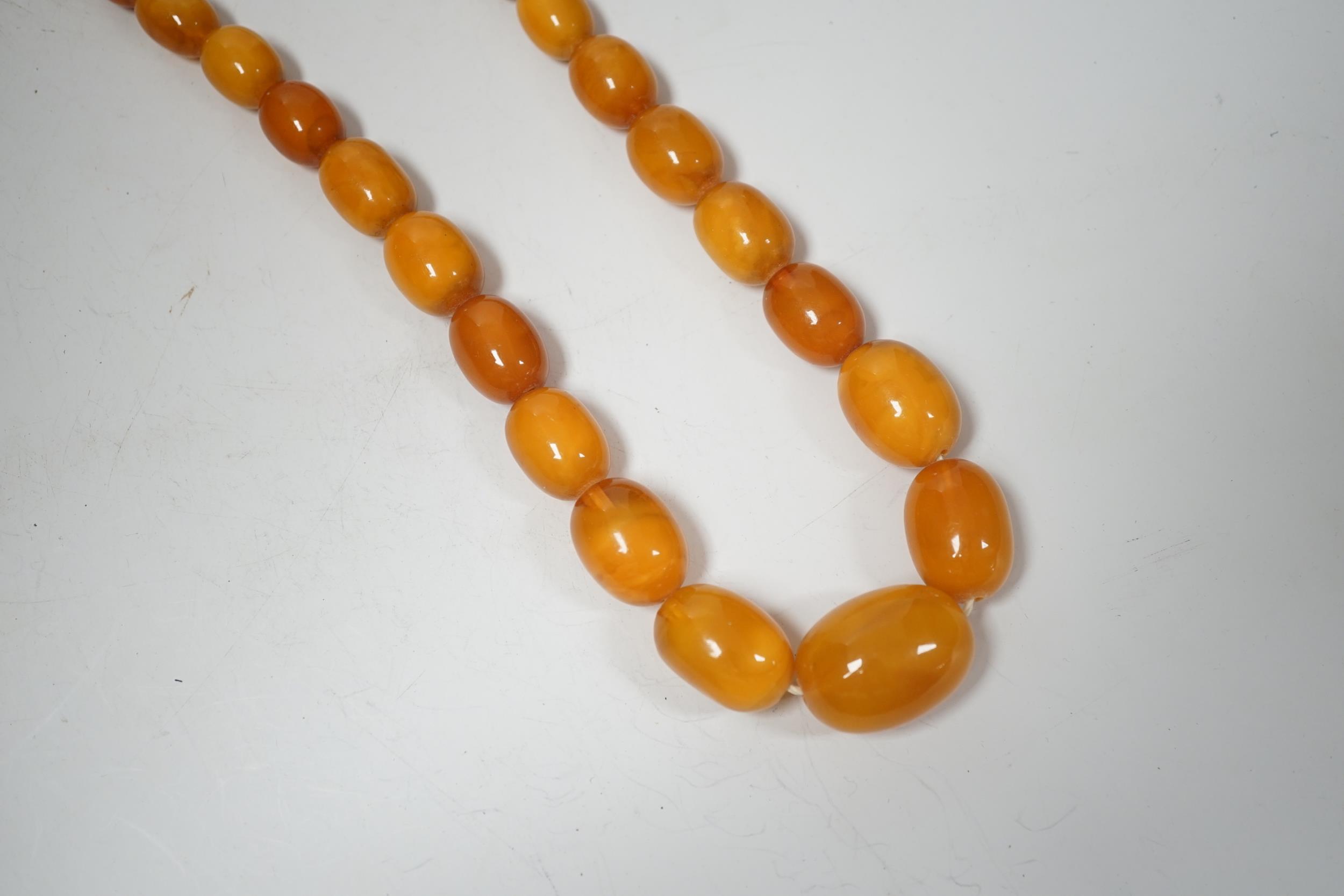 A single strand graduated oval amber bead necklace, 74cm, 83 grams. - Image 2 of 6