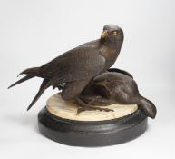 A limited edition bronze bird of prey with a kill, on a faux marble disc and painted wooden stand,